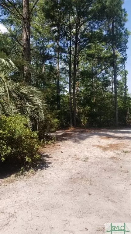 1445 Courthouse Rd, Guyton, GA 31312 photo 19