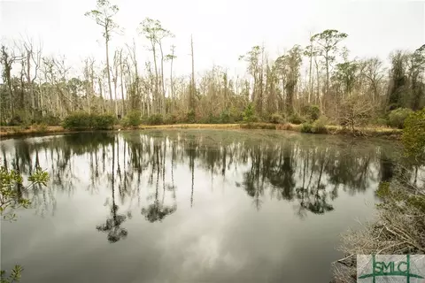 60 Montgomery Ln, Allenhurst, GA 31301 photo 45