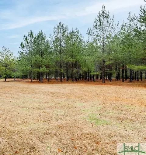269 Spring Hill Rd, Springfield, GA 31329 photo 34
