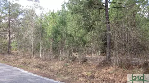 417 Exley Loop, Rincon, GA 31326 photo 19