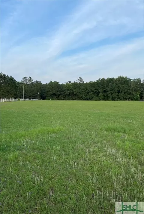 1329 Shawnee Egypt Rd, Springfield, GA 31329 photo 1