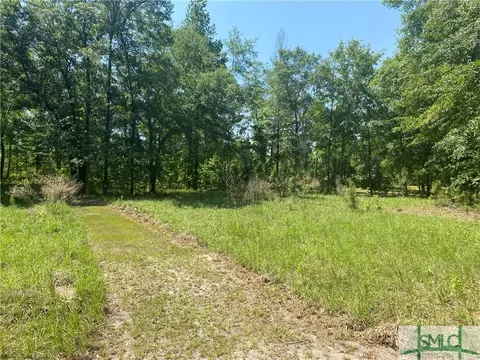 1329 Shawnee Egypt Rd, Springfield, GA 31329 photo 5