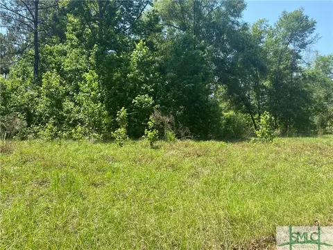 1329 Shawnee Egypt Rd, Springfield, GA 31329 photo 4