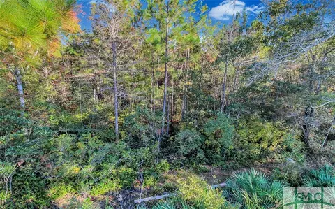 266 Harmony Blvd, Pooler, GA 31322 photo 32