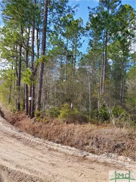 7 89 Ac Flowers Rd, Ludowici, GA 31316