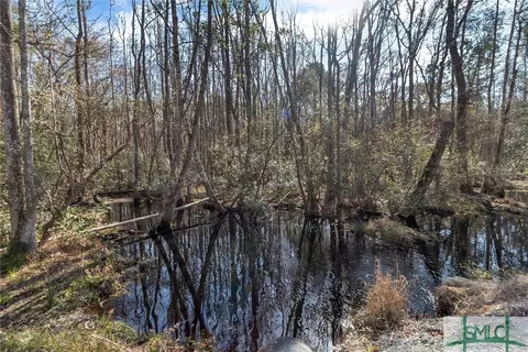 122 Moss Loop, Rincon, GA 31326 photo 44