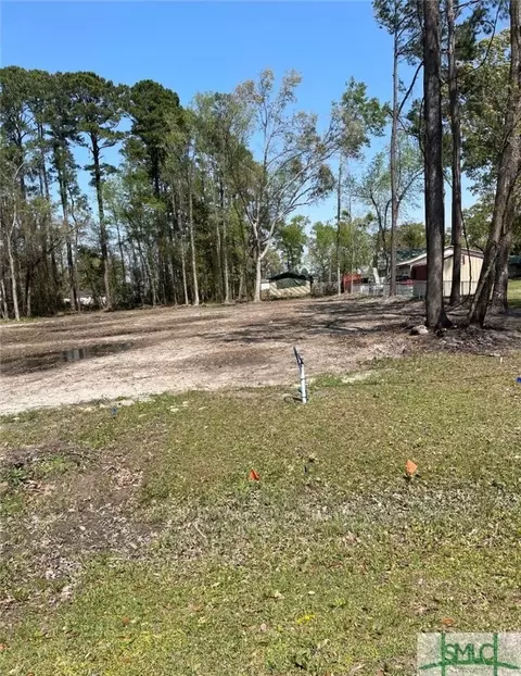 lot C Carlyene Dr, Midway, GA 31320 photo 3