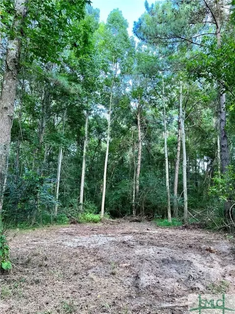 278 Garrison Rd, Claxton, GA 30417 photo 2