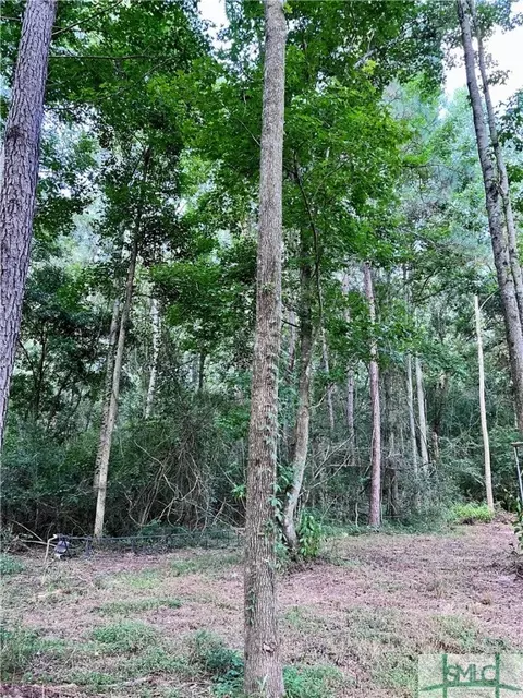278 Garrison Rd, Claxton, GA 30417 photo 12
