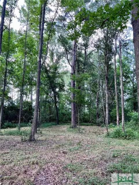 278 Garrison Rd, Claxton, GA 30417 photo 15