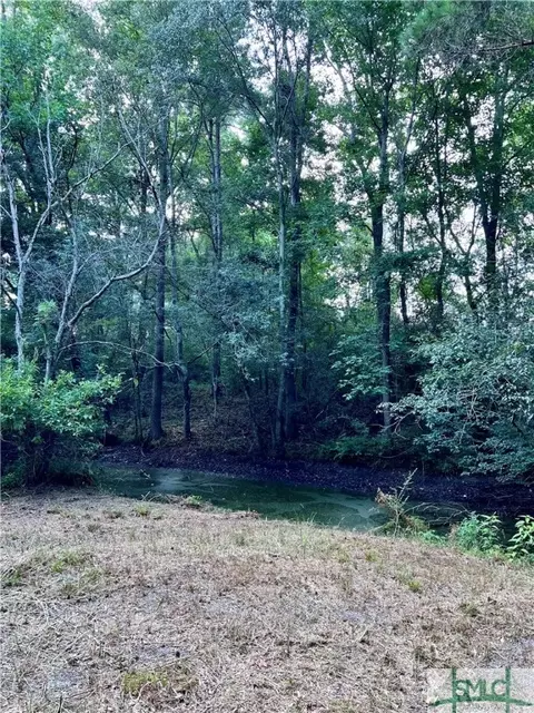 278 Garrison Rd, Claxton, GA 30417 photo 1