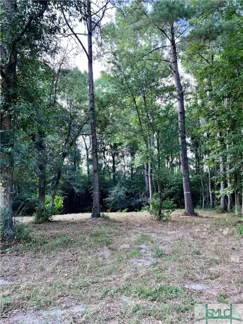 278 Garrison Rd, Claxton, GA 30417 photo 16