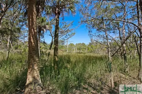 7 Commodore Ct, Savannah, GA 31410 photo 49