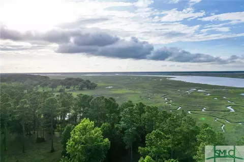 lot18 River View Ct, Townsend, GA 31331