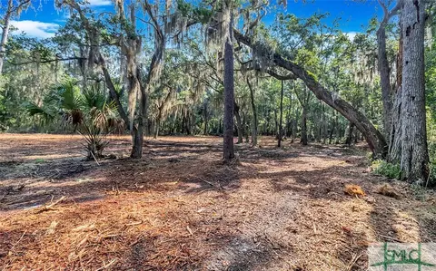 0 Japonica Rd, Midway, GA 31320