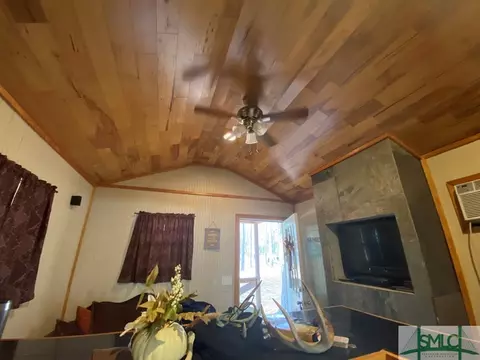 271 Nancy Ln, Ailey, GA 30410 photo 14