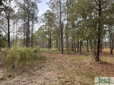 271 Nancy Ln, Ailey, GA 30410 photo 5