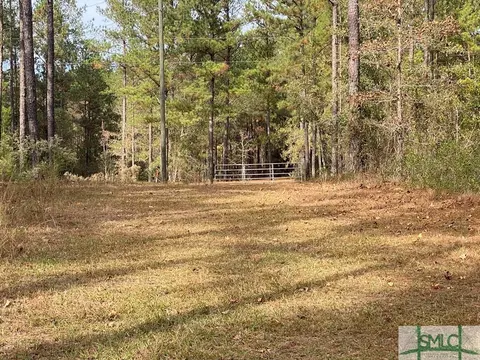 271 Nancy Ln, Ailey, GA 30410 photo 8