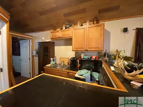 271 Nancy Ln, Ailey, GA 30410 photo 10