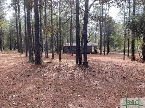 271 Nancy Ln, Ailey, GA 30410 photo 4