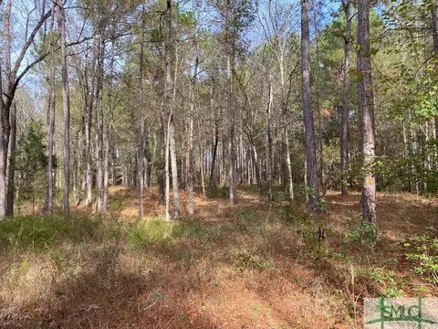 271 Nancy Ln, Ailey, GA 30410 photo 6