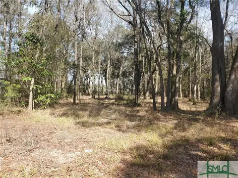 lot6 Big Oak Rd, Riceboro, GA 31323