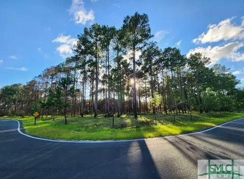 0 Marsh Lot 19 Way, Townsend, GA 31331