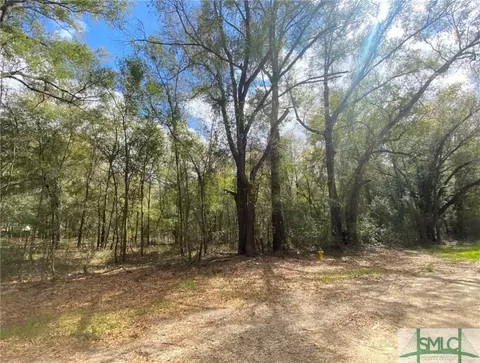 0 Elkins Cemetery Rd, Guyton, GA 31312
