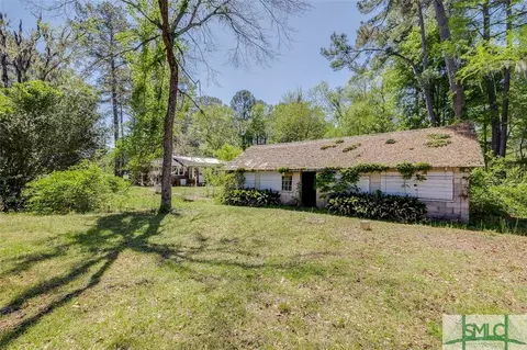 121 Nevils Daisy Rd, Register, GA 30452 photo 35