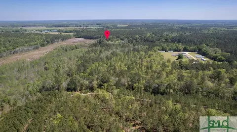 121 Nevils Daisy Rd, Register, GA 30452 photo 42