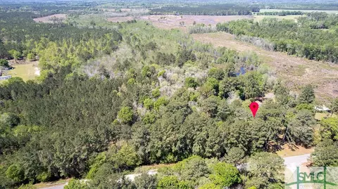 121 Nevils Daisy Rd, Register, GA 30452 photo 39