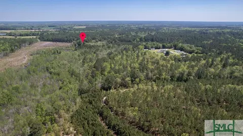 121 Nevils Daisy Rd, Register, GA 30452 photo 43