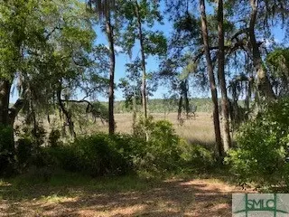 357 Lakeside Way, Midway, GA 31320 photo 8