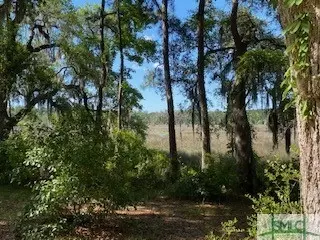 357 Lakeside Way, Midway, GA 31320 photo 7