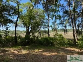 357 Lakeside Way, Midway, GA 31320 photo 6