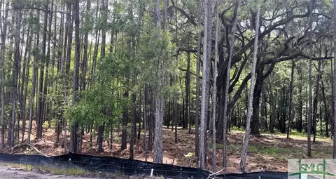 161 Wood Haven Ln, Pooler, GA 31322