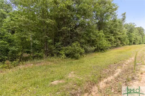 441 Clyo Shawnee Rd, Springfield, GA 31329 photo 37