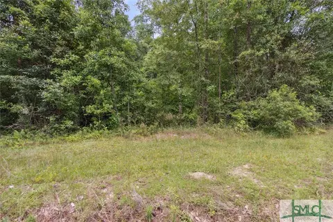 441 Clyo Shawnee Rd, Springfield, GA 31329 photo 36