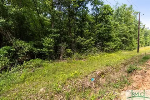 441 Clyo Shawnee Rd, Springfield, GA 31329 photo 39