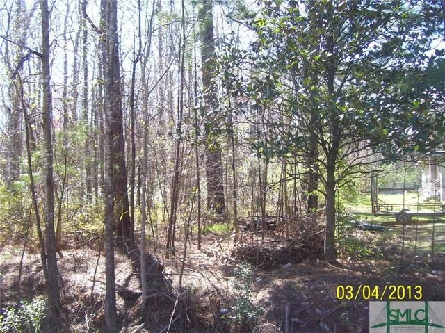 6 7 Ac Chevis Rd, Savannah, GA 31419