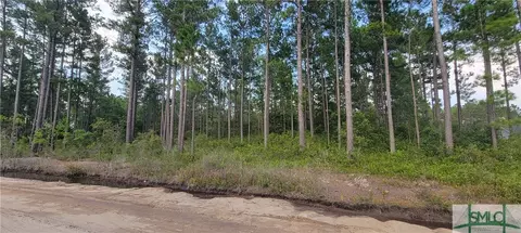 lot13 Groover Tract, Ludowici, GA 31316