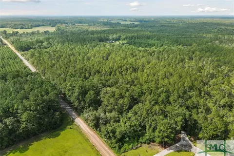 lot4 Buie Driggers Rd, Brooklet, GA 30415