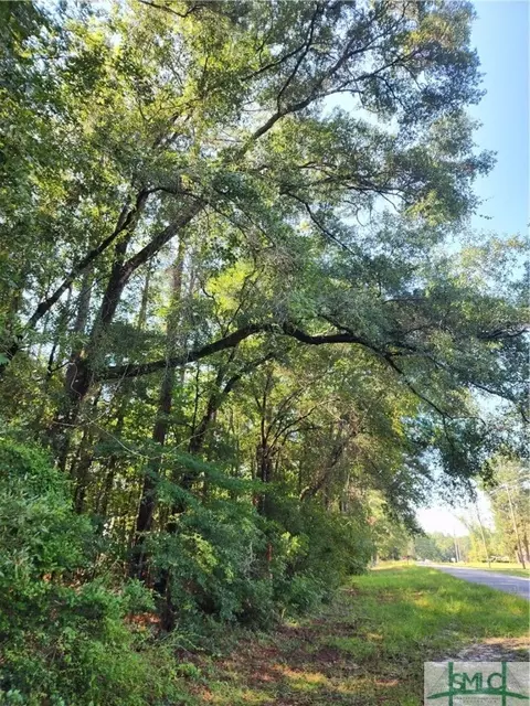 0 Early St, Springfield, GA 31329 photo 3