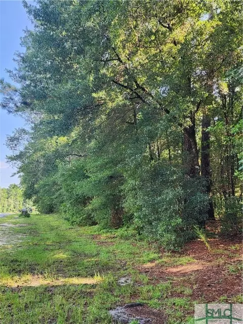 0 Early St, Springfield, GA 31329 photo 2