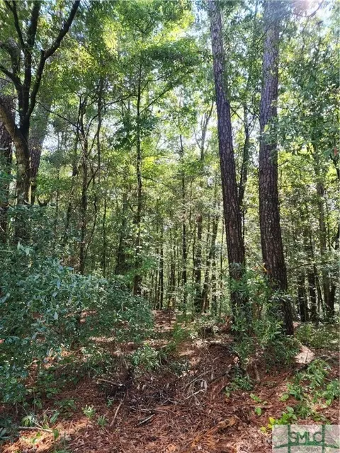 0 Early St, Springfield, GA 31329