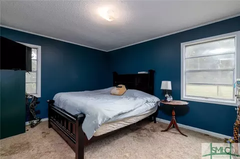 264 Frances Ln, Brooklet, GA 30415 photo 6