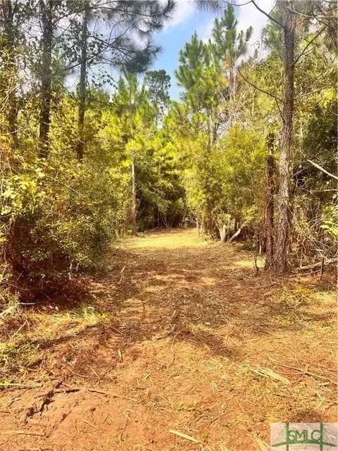 0 Hooks Rd, Millen, GA 30442 photo 5