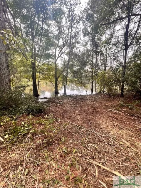 0 Hooks Rd, Millen, GA 30442 photo 7