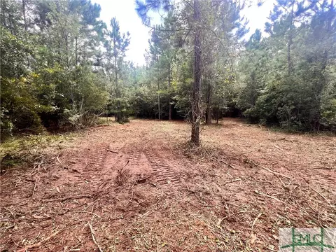 0 Hooks Rd, Millen, GA 30442 photo 6