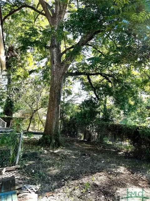 1205 E Bolton St, Savannah, GA 31404